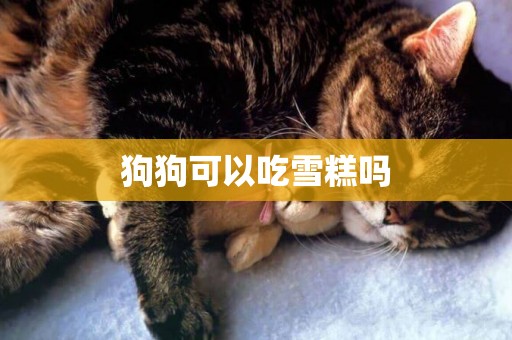 狗狗可以吃雪糕嗎