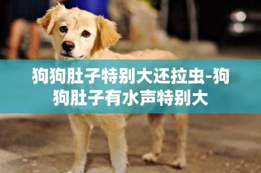 狗狗肚子特別大還拉蟲-狗狗肚子有水聲特別大