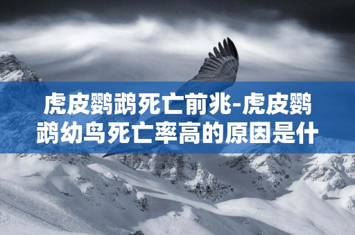 虎皮鸚鵡死亡前兆-虎皮鸚鵡幼鳥死亡率高的原因是什么