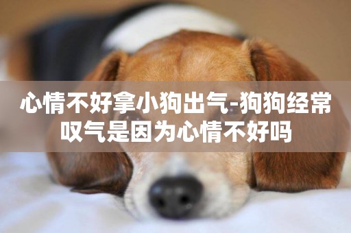 心情不好拿小狗出氣-狗狗經常嘆氣是因為心情不好嗎