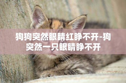 狗狗突然眼睛紅睜不開-狗突然一只眼睛睜不開