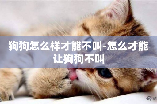 狗狗怎么樣才能不叫-怎么才能讓狗狗不叫