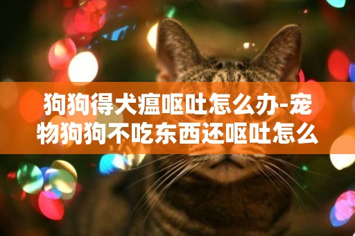 狗狗得犬瘟嘔吐怎么辦-寵物狗狗不吃東西還嘔吐怎么辦
