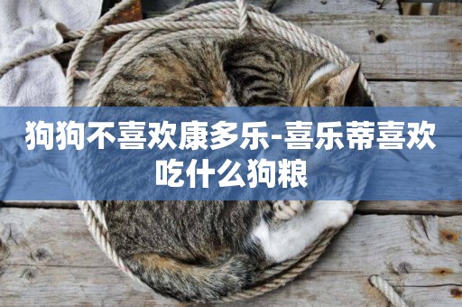 狗狗不喜歡康多樂-喜樂蒂喜歡吃什么狗糧