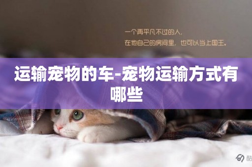 運輸寵物的車-寵物運輸方式有哪些