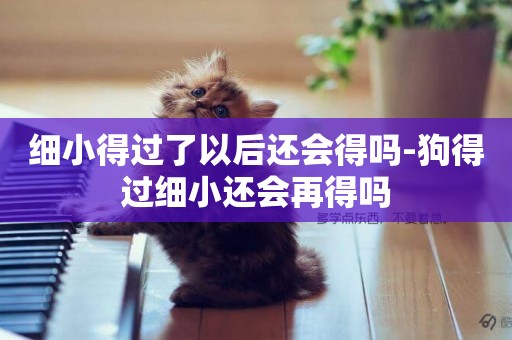 細小得過了以后還會得嗎-狗得過細小還會再得嗎