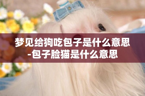 夢見給狗吃包子是什么意思-包子臉貓是什么意思