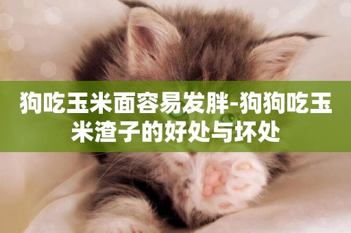 狗吃玉米面容易發胖-狗狗吃玉米渣子的好處與壞處
