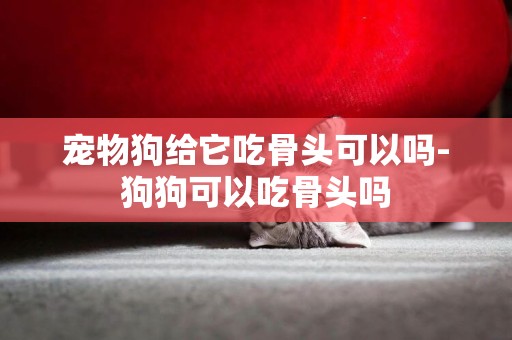 寵物狗給它吃骨頭可以嗎-狗狗可以吃骨頭嗎