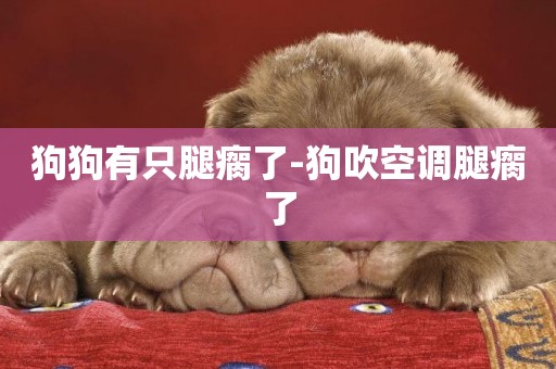 狗狗有只腿瘸了-狗吹空調腿瘸了