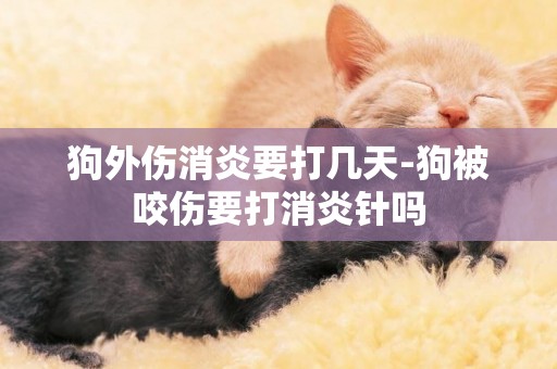 狗外傷消炎要打幾天-狗被咬傷要打消炎針嗎