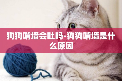 狗狗啃墻會吐嗎-狗狗啃墻是什么原因 狗狗啃墻會吐嗎-狗狗啃墻是什么原因