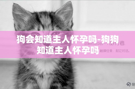 狗會知道主人懷孕嗎-狗狗知道主人懷孕嗎