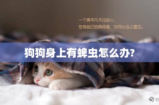 狗狗身上有蜱蟲怎么辦?