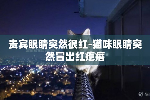 貴賓眼睛突然很紅-貓咪眼睛突然冒出紅疙瘩