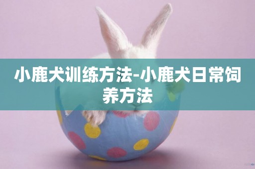 小鹿犬訓練方法-小鹿犬日常飼養方法