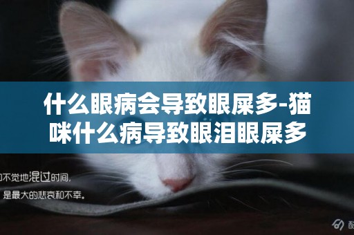 什么眼病會導致眼屎多-貓咪什么病導致眼淚眼屎多