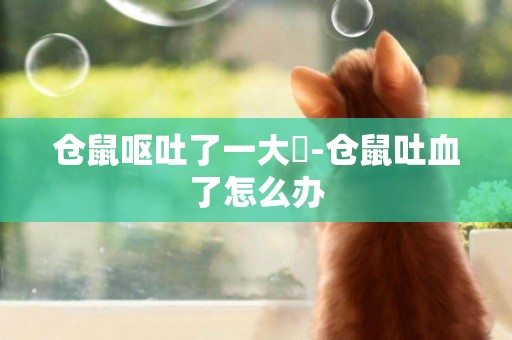 倉鼠嘔吐了一大塊-倉鼠吐血了怎么辦