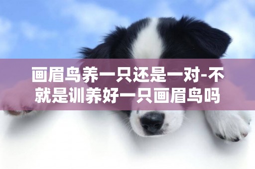 畫眉鳥養一只還是一對-不就是訓養好一只畫眉鳥嗎