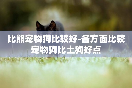 比熊寵物狗比較好-各方面比較寵物狗比土狗好點