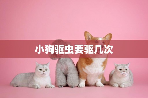 小狗驅蟲要驅幾次