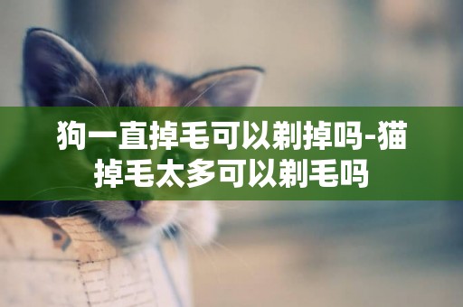 狗一直掉毛可以剃掉嗎-貓掉毛太多可以剃毛嗎