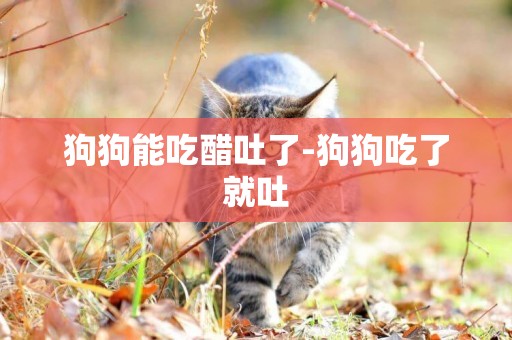 狗狗能吃醋吐了-狗狗吃了就吐