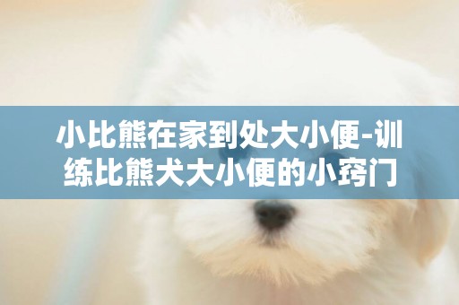 小比熊在家到處大小便-訓練比熊犬大小便的小竅門