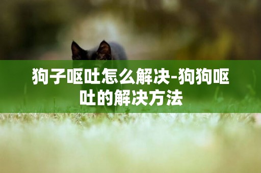 狗子嘔吐怎么解決-狗狗嘔吐的解決方法