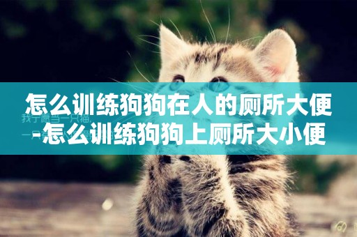 怎么訓練狗狗在人的廁所大便-怎么訓練狗狗上廁所大小便