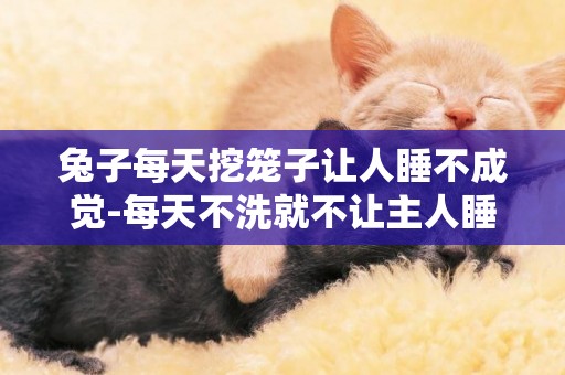 兔子每天挖籠子讓人睡不成覺-每天不洗就不讓主人睡覺