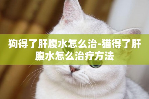 狗得了肝腹水怎么治-貓得了肝腹水怎么治療方法
