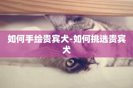 如何手繪貴賓犬-如何挑選貴賓犬