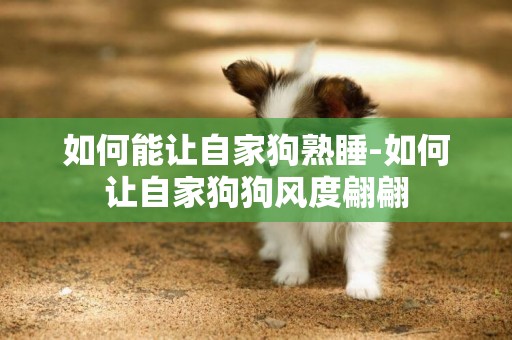 如何能讓自家狗熟睡-如何讓自家狗狗風度翩翩