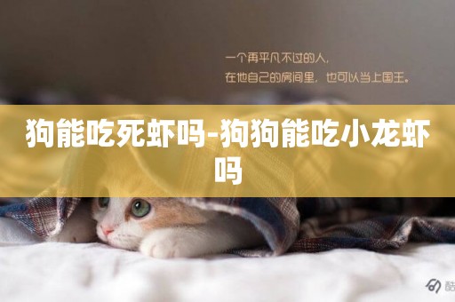 狗能吃死蝦嗎-狗狗能吃小龍蝦嗎