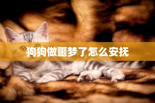 狗狗做噩夢了怎么安撫