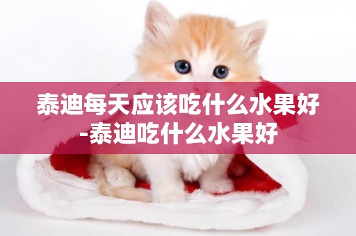 泰迪每天應該吃什么水果好-泰迪吃什么水果好