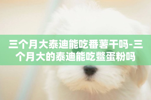三個月大泰迪能吃番薯干嗎-三個月大的泰迪能吃鱉蛋粉嗎
