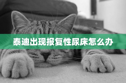泰迪出現報復性尿床怎么辦