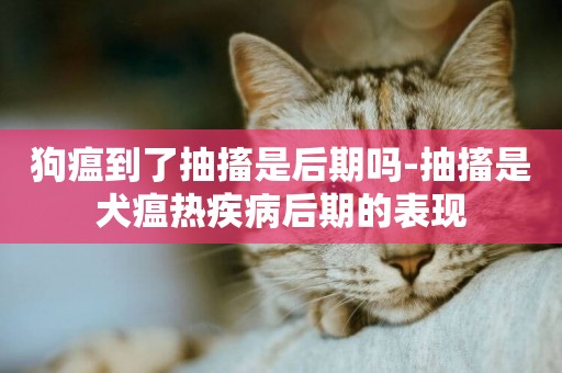 狗瘟到了抽搐是后期嗎-抽搐是犬瘟熱疾病后期的表現