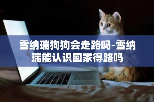 雪納瑞狗狗會走路嗎-雪納瑞能認識回家得路嗎