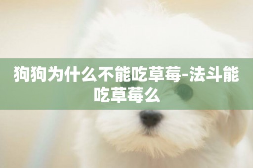 狗狗為什么不能吃草莓-法斗能吃草莓么
