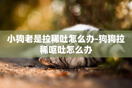 小狗老是拉稀吐怎么辦-狗狗拉稀嘔吐怎么辦