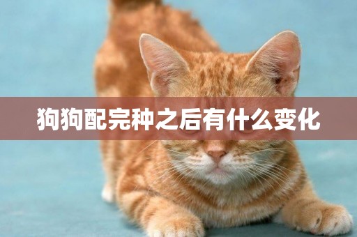 狗狗配完種之后有什么變化