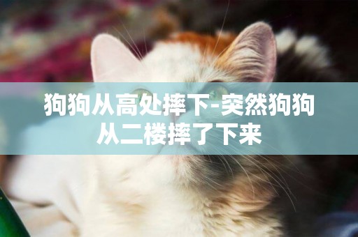 狗狗從高處摔下-突然狗狗從二樓摔了下來