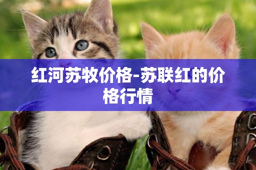 紅河蘇牧價格-蘇聯紅的價格行情