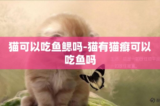 貓可以吃魚鰓嗎-貓有貓癬可以吃魚嗎