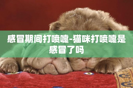 感冒期間打噴嚏-貓咪打噴嚏是感冒了嗎