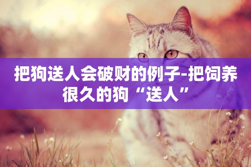 把狗送人會破財的例子-把飼養很久的狗“送人”