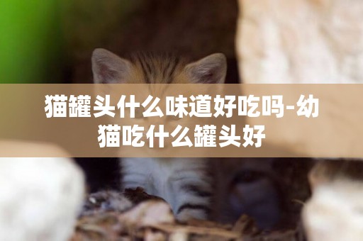 貓罐頭什么味道好吃嗎-幼貓吃什么罐頭好